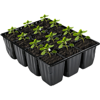 //rkrorwxhrpprlq5p-static.micyjz.com/cloud/lnBpmKpklqSRmkkinkkojp/Agricultural-Blister-Packaging.png
