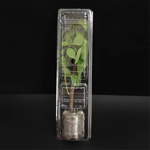 Embalaje en bl&iacute;ster triple de pl&aacute;stico transparente para plantas vivas, pl&aacute;ntulas, macetas, caja